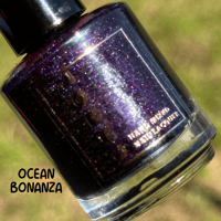 Image 3 of Ocean Bonanza