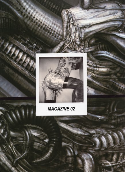 Image of MAGAZINE 02 - PIN-UPS AND POLAROIDS