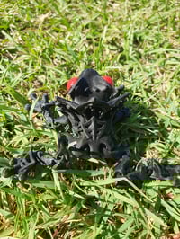 Image 2 of Frogula
