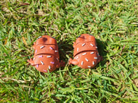 Image 2 of Hoptart Frog
