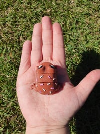 Image 3 of Hoptart Frog