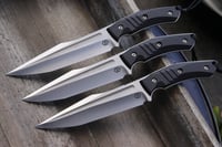 Image 1 of Vanguard black G10