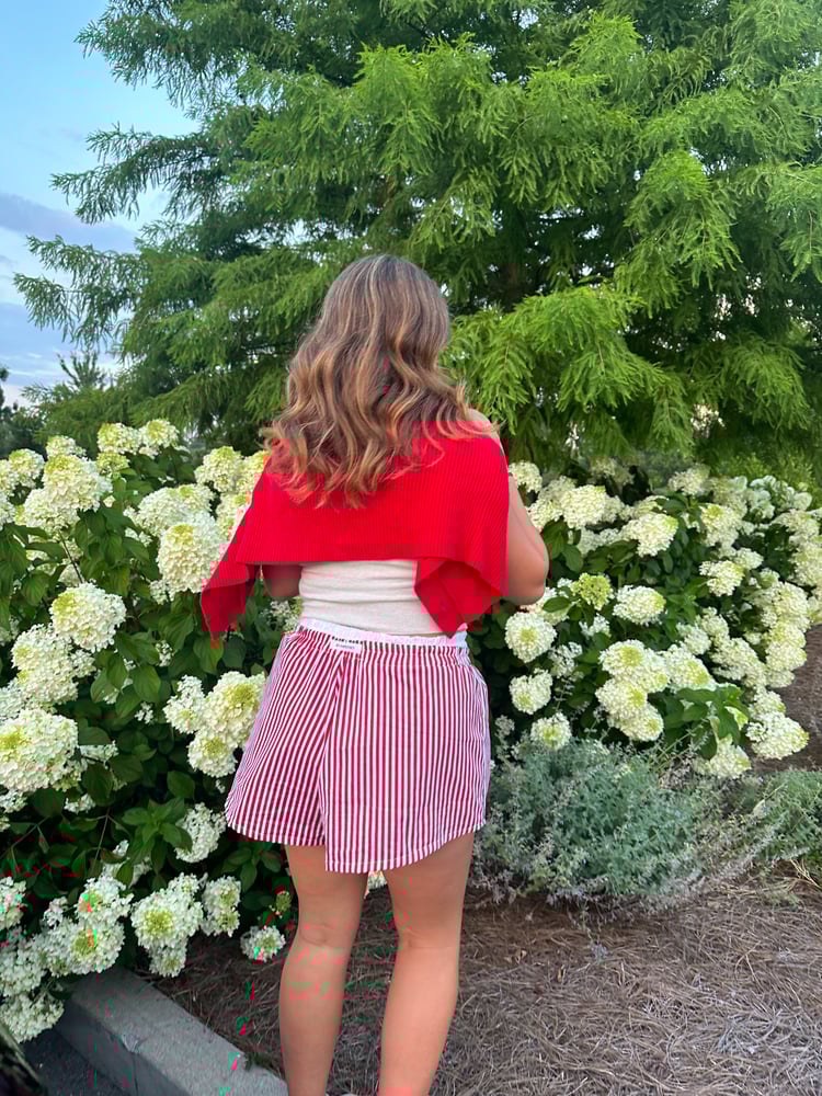 Image of Red Striped Shorts - Double Waistband