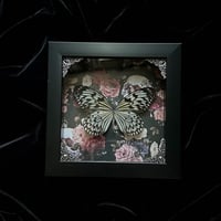Rice Paper Butterfly - Floral Skulls