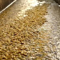 Image 3 of Guatemala - La Soledad - Washed Caturra - Filter