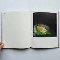 Image 21 of ‘RESORT’ Haunch of Venison exhibition book SIGNED BY THE ARTIST 