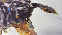 Image 4 of "Nip, Nip" - ORIGINAL & PRINT
