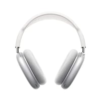 QP HEADPHONES MAX