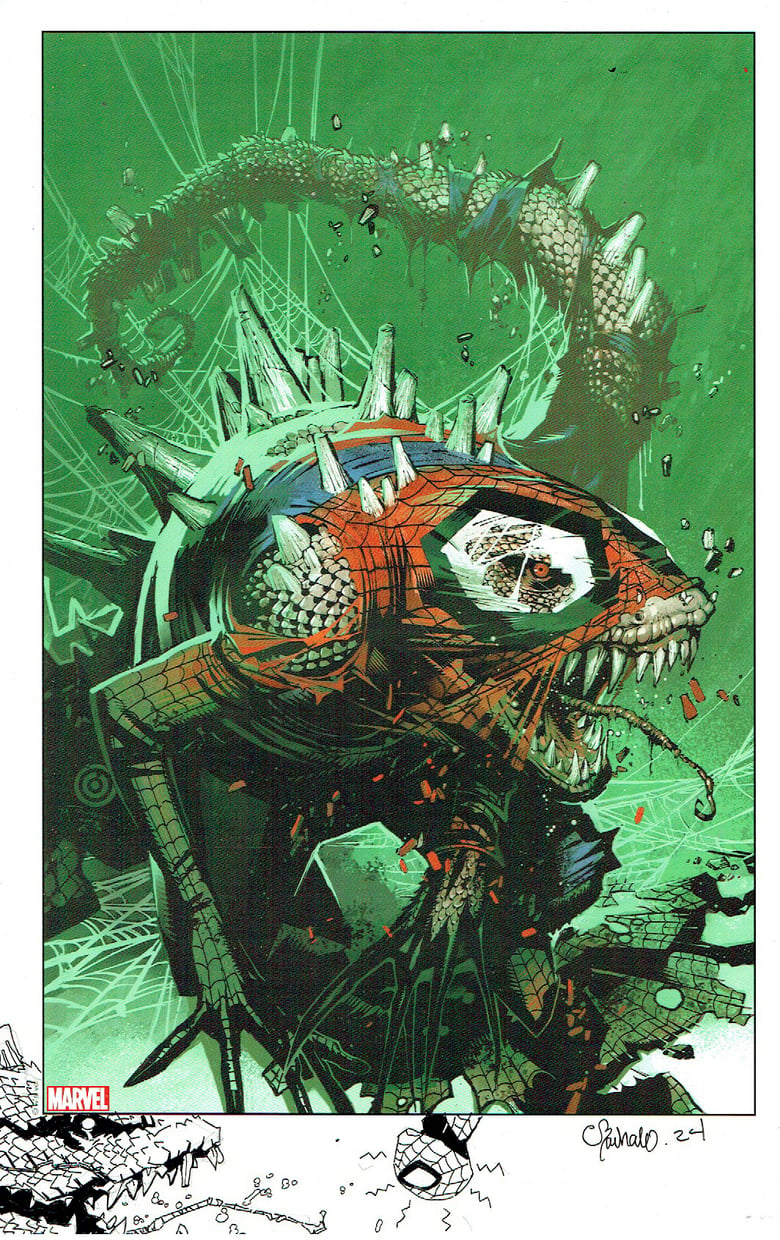 Image of SPIDER-MAN  PRINT with remarque--