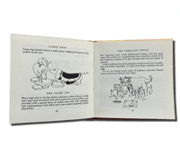 Image 3 of Animal Cook Book by Otto Tomschik
