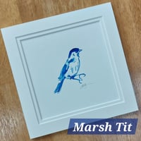 Image 2 of Great Tit / Marsh Tit / Long-tailed Tit, original blue ink drawing