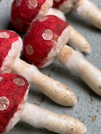 Image 3 of Let's Make Spun Cotton Mushrooms kit