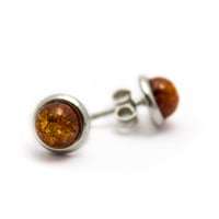 Image 1 of Baltic Cognac Amber Stud Earrings