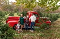 Image 3 of Vintage RED Truck Christmas Sessions at the Tree Farm! 