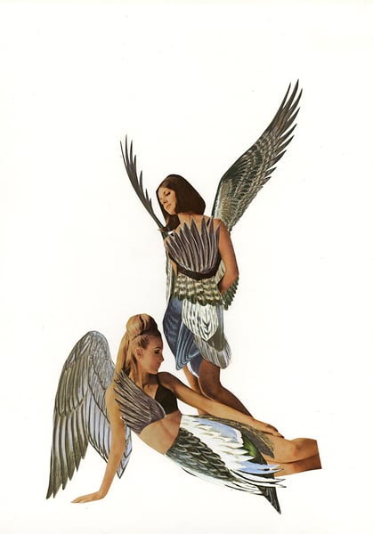 Image of When Women  Were Birds - original collage