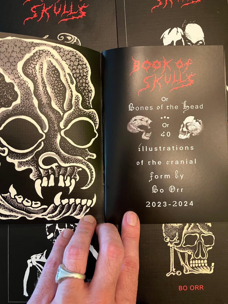 Image of Book Of Skulls