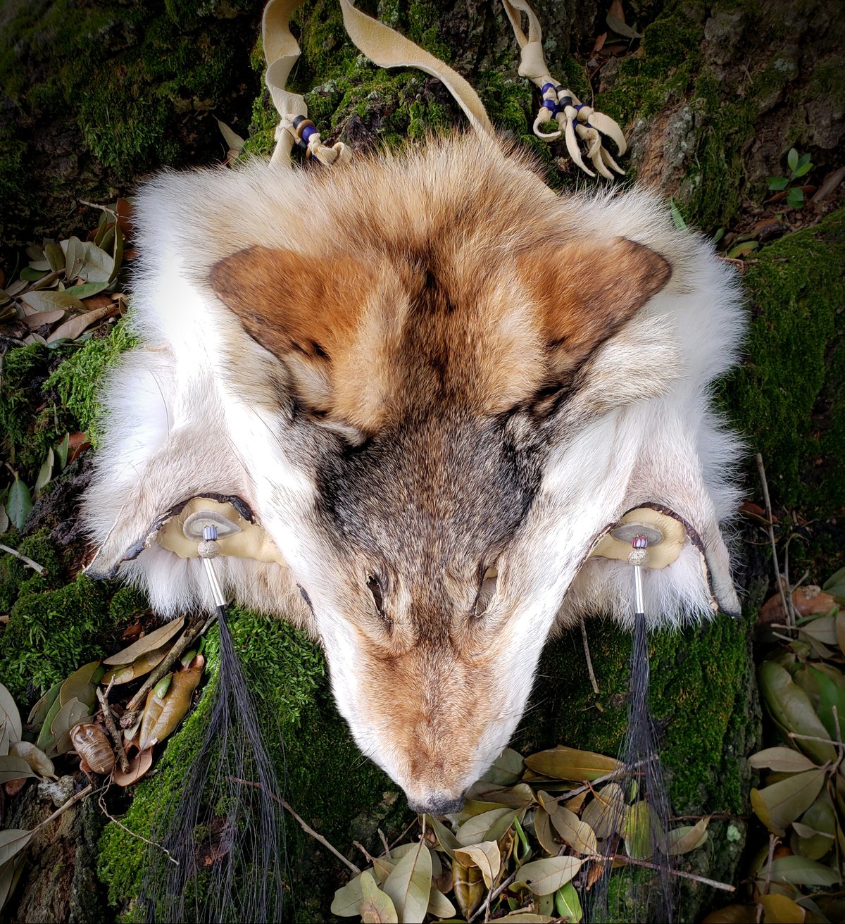 Image of Coywolf Bag