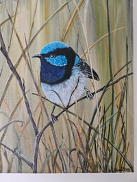 Image 2 of "Three Little Birds"