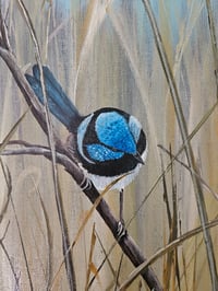 Image 4 of "Three Little Birds"