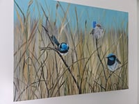 Image 5 of "Three Little Birds"