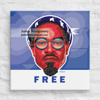 Free #14 ("America" colorway) - Andre 3000