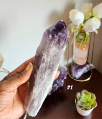 Image 4 of Amethyst Root