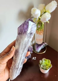 Image 5 of Amethyst Root