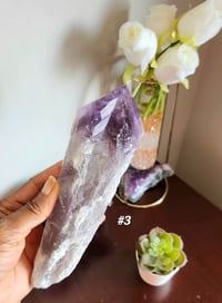 Image 6 of Amethyst Root