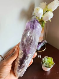 Image 7 of Amethyst Root
