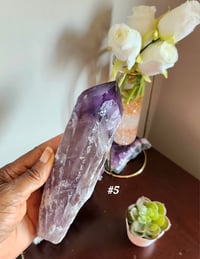 Image 2 of Amethyst Root