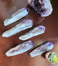 Image 1 of Amethyst Root