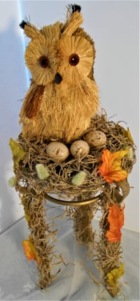 Image 3 of Owl in a Nest