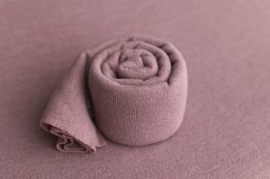 Image of Frosted Plum