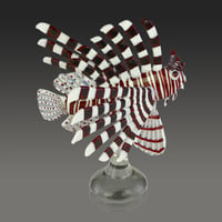 Image 1 of Red Lionfish