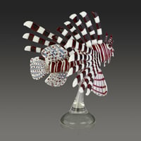 Image 3 of Red Lionfish