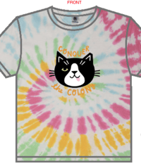 Image 1 of New Logo Tee - Tie-Dye