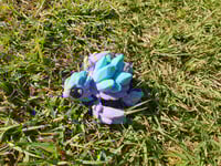 Image 2 of Crystal Turtles