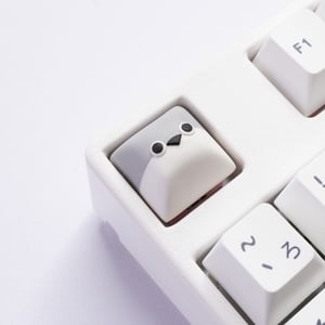 Image of SACABAMBASPIS