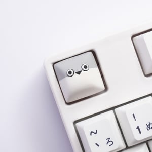 Image of SACABAMBASPIS