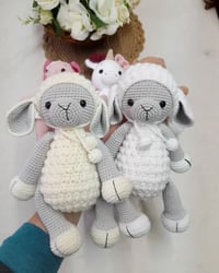 Image 3 of Sheep Woolly