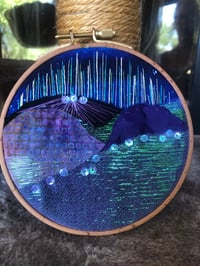 Auroras
