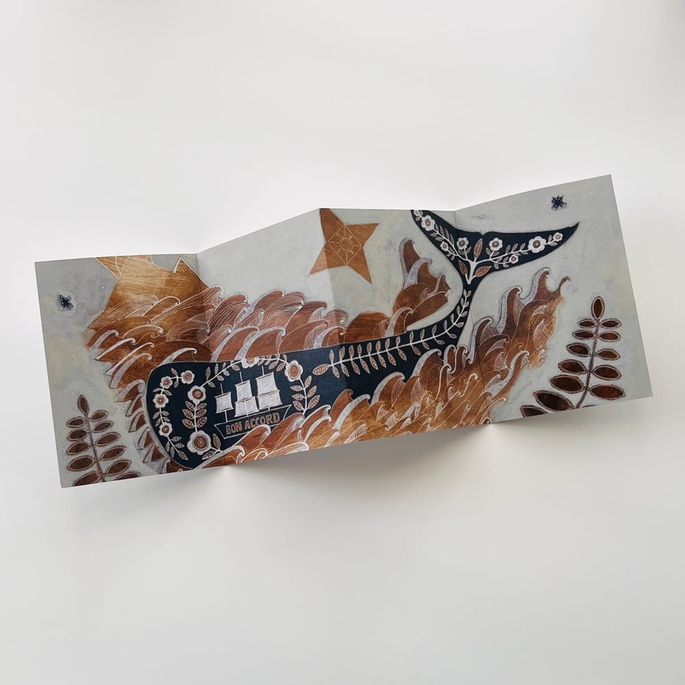 Image of Bon Accord Whale Concertina Card