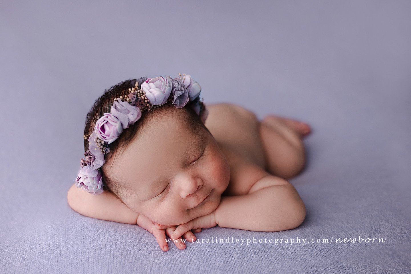 Image of Chloe Beanbag Backdrop in purple 