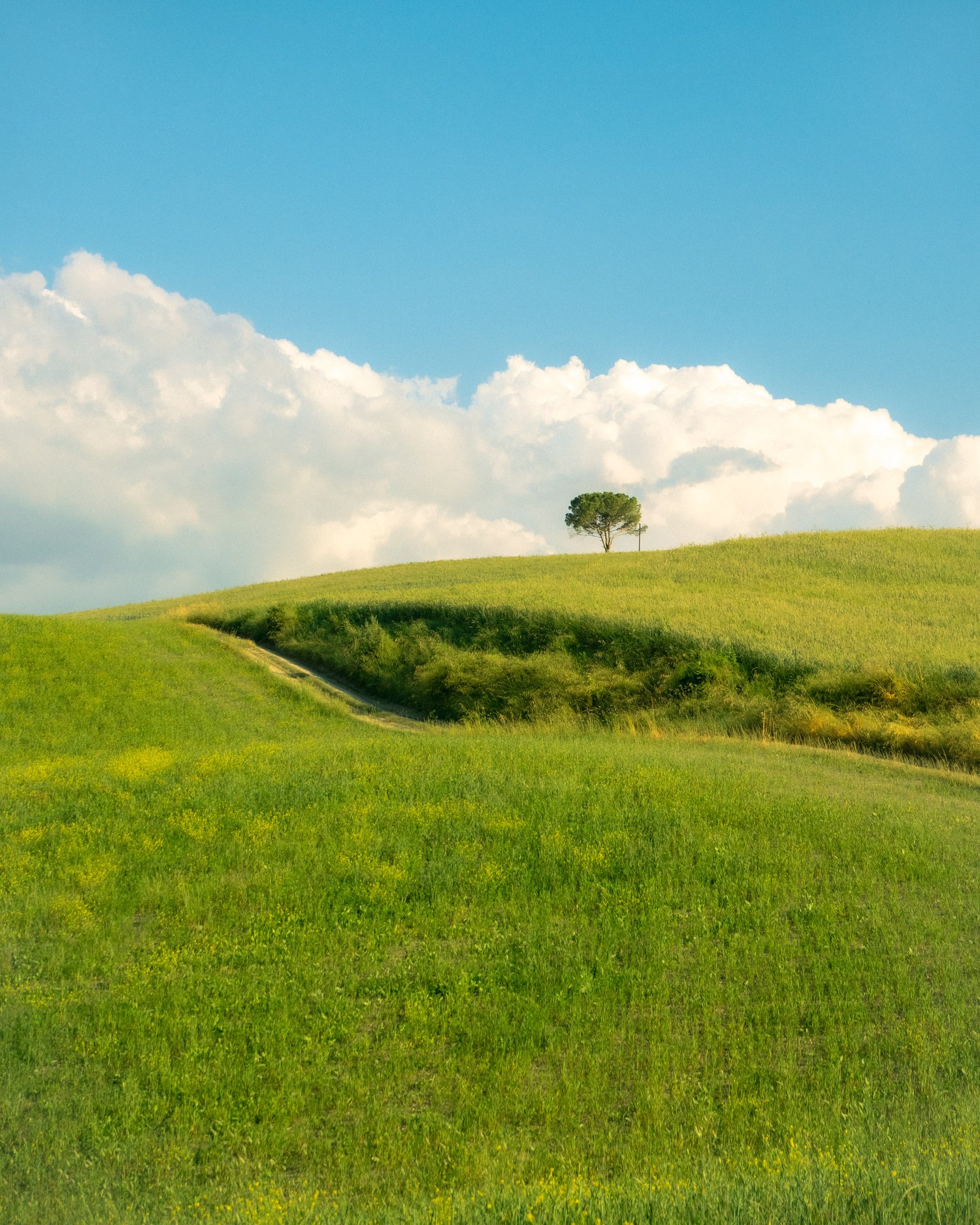 Toscane