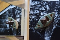 Image 5 of Magic Bear in a Canoe