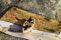Image 4 of Caw-Caw-Canoe!