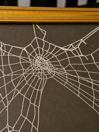 Image 2 of Gold framed preserved spider web