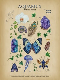 Image 3 of Vintage Aquarius Nature Chart Poster