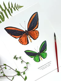 Image 6 of Birdwing Butterfly Watercolor Illustration PRINT 