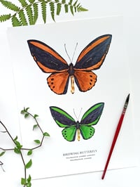 Image 2 of Birdwing Butterfly Watercolor Illustration PRINT 